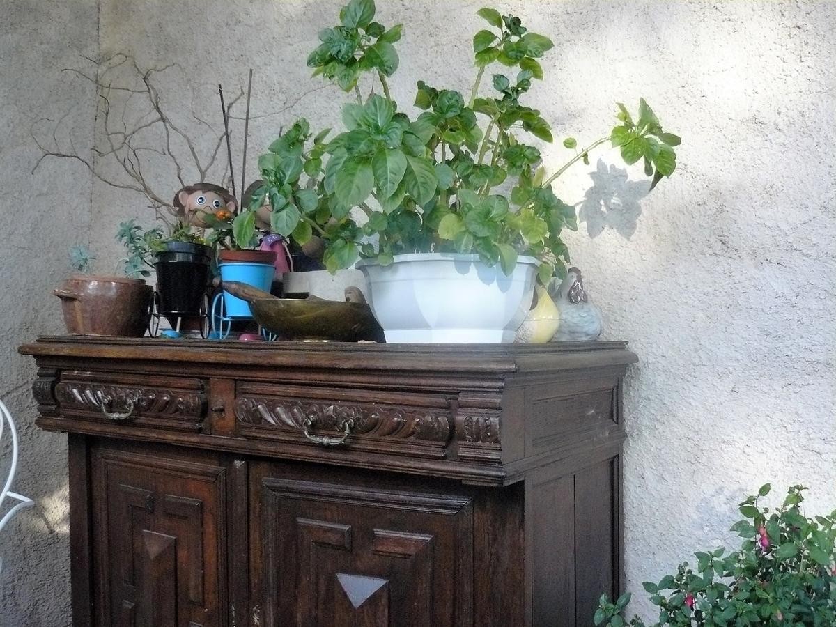 Chez Camille Bed and Breakfast Etrigny Εξωτερικό φωτογραφία